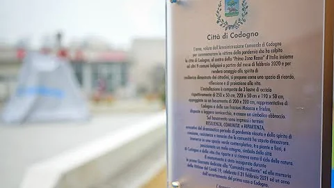 Dove si trova Codogno in che provincia?