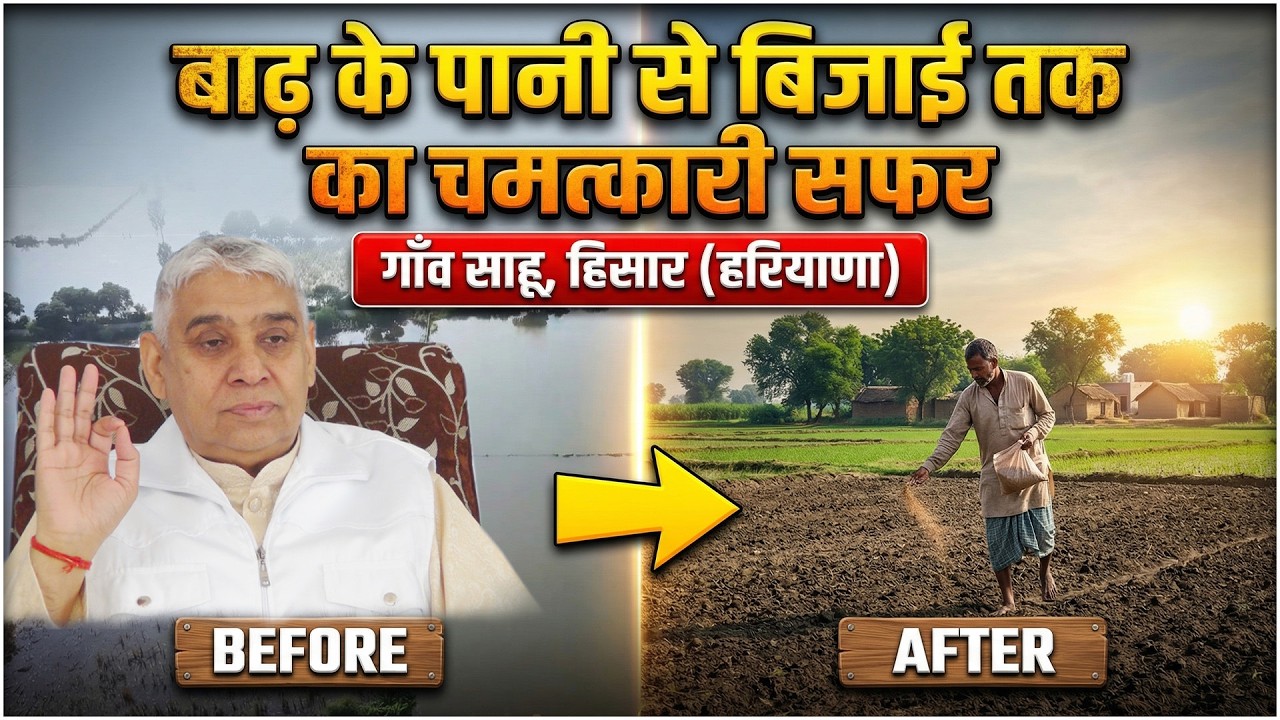 डूबे खेतों से लहराती फसल की और गाँव साहू, हिसार (हरियाणा) की प्रेरक कहानी || Sahu Village