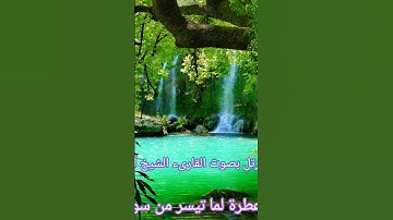 تلاوة عطرة من سورة الأنعام