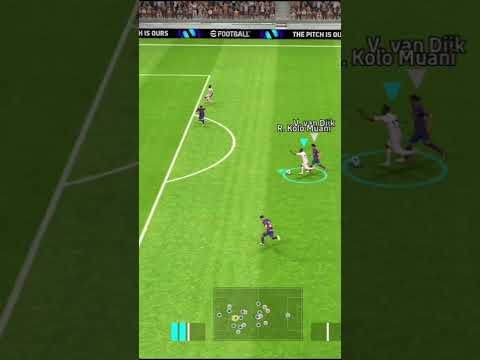 Wait For Kolo