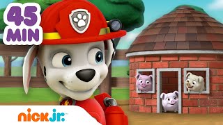 Paw Patrol - La Squadra dei Cuccioli | La PAW Patrol protegge gli animali per 45 minuti! | Nick Jr. screenshot 3