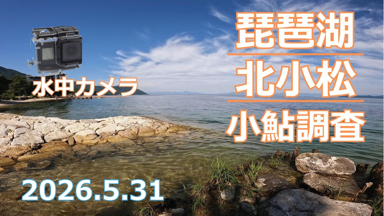 小鮎釣り2026】湖西・北小松の小鮎釣り＆水中映像レポート - YouTube