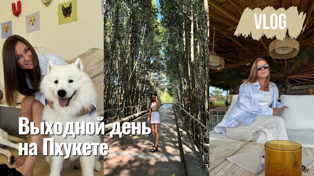 Что посетить на Пхукете: собачье кафе, парк Saphan Hin и любимый ресторан Woo | VLOG