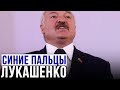 Синие пальцы Лукашенко. Политические похищения вернулись в Беларусь