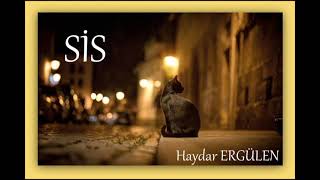 Si̇s - Haydar Ergülen