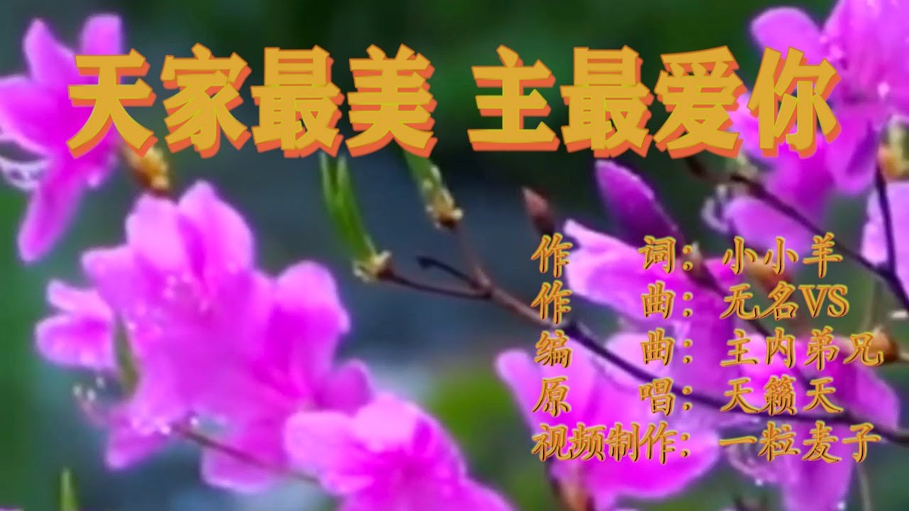 赞美诗歌《天家最美 主最爱你》基督教歌曲-视频歌词+简谱+看简谱视唱 今生再荣华不如一朵花得到了谁又能留住它