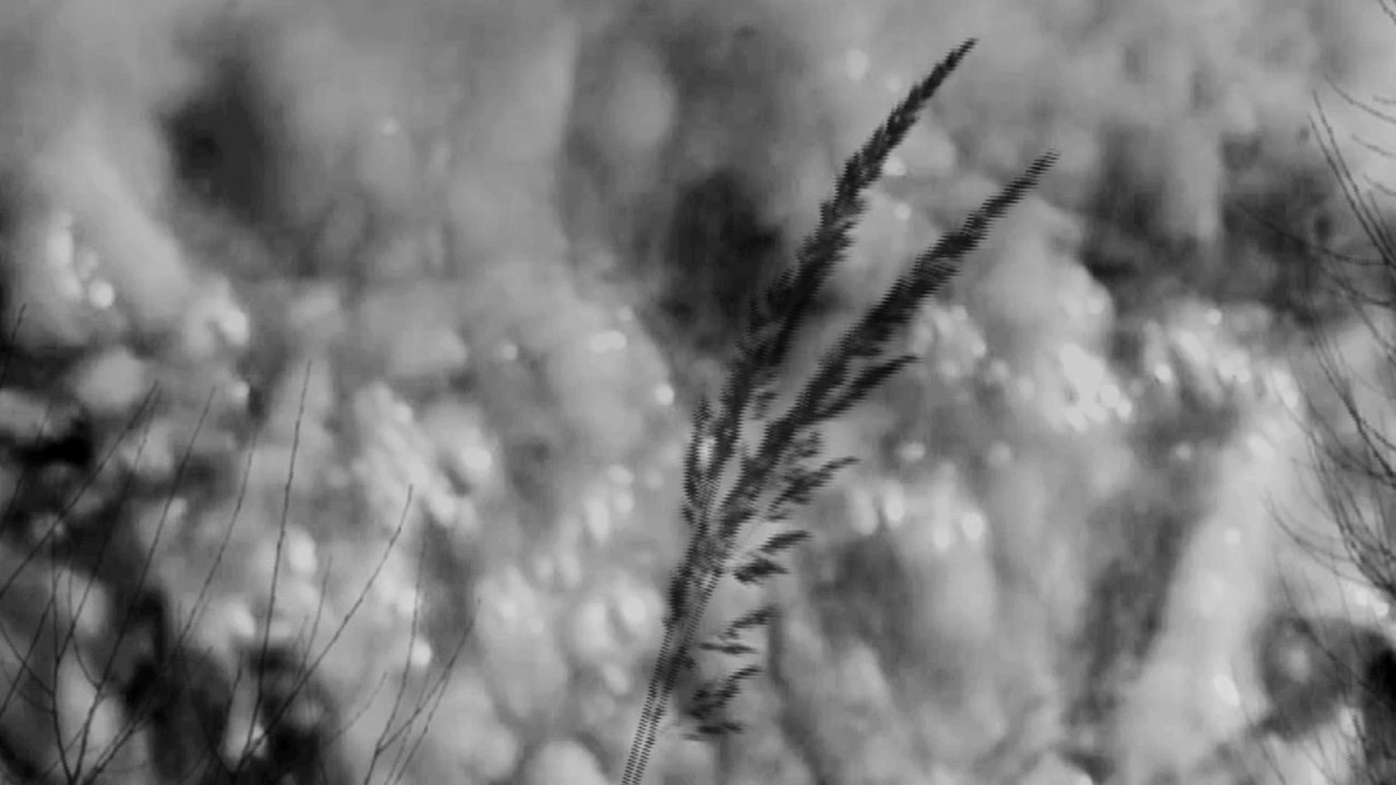 Mountain States - Here It Is [Official Video]