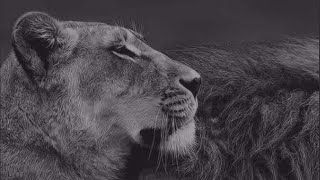 Antepli Bela & Mc Kral Xxx Diss Byderman & Eliz