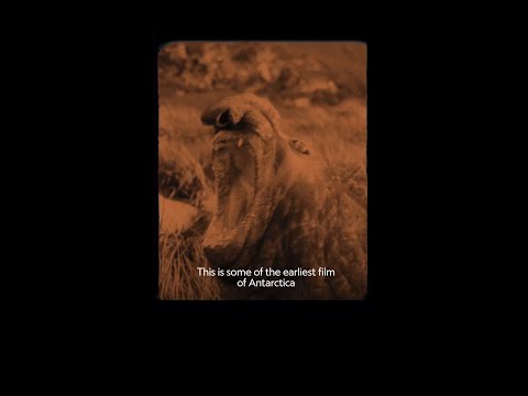 This is how one of the first nature documentaries came about.