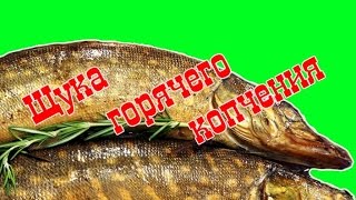 Щука горячего копчения Щука горячего копчения