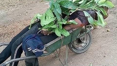 Nnamdi KANU: Udele has fallen, the vulture will be consumed by vulture. 