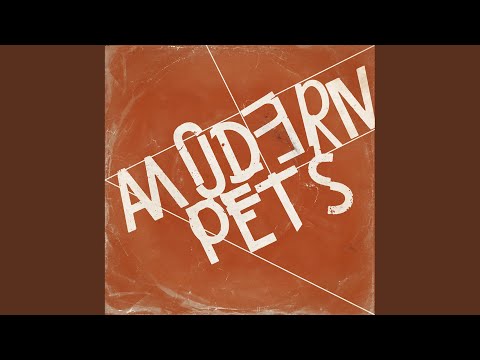 Modern Pets — Sunalley Bustle