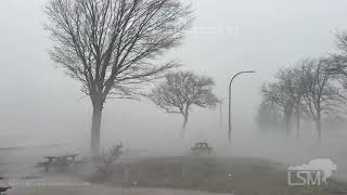 12-29-2025 Buffalo Ny - Hurricane Force Winds Hit Buffalo - Tree Breaks - Whiteout