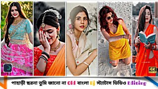 Pahari jharna tumi ki jano na | Alight motion dj status Video Editing| Old Bengali Dj Song|XML file screenshot 2