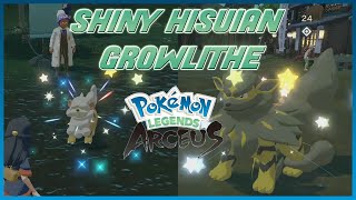 Golden Lion Dog! Shiny Hisuian Growlithe Reaction!