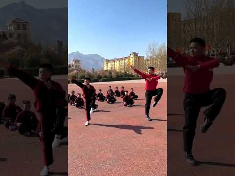 Shaolin : wu bu quan together