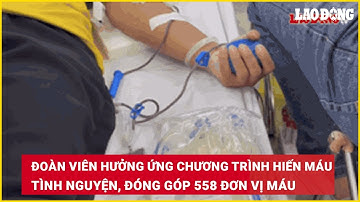Đoàn viên hưởng ứng chương trình hiến máu tình nguyện, đóng góp 558 đơn vị máu | Báo Lao Động
