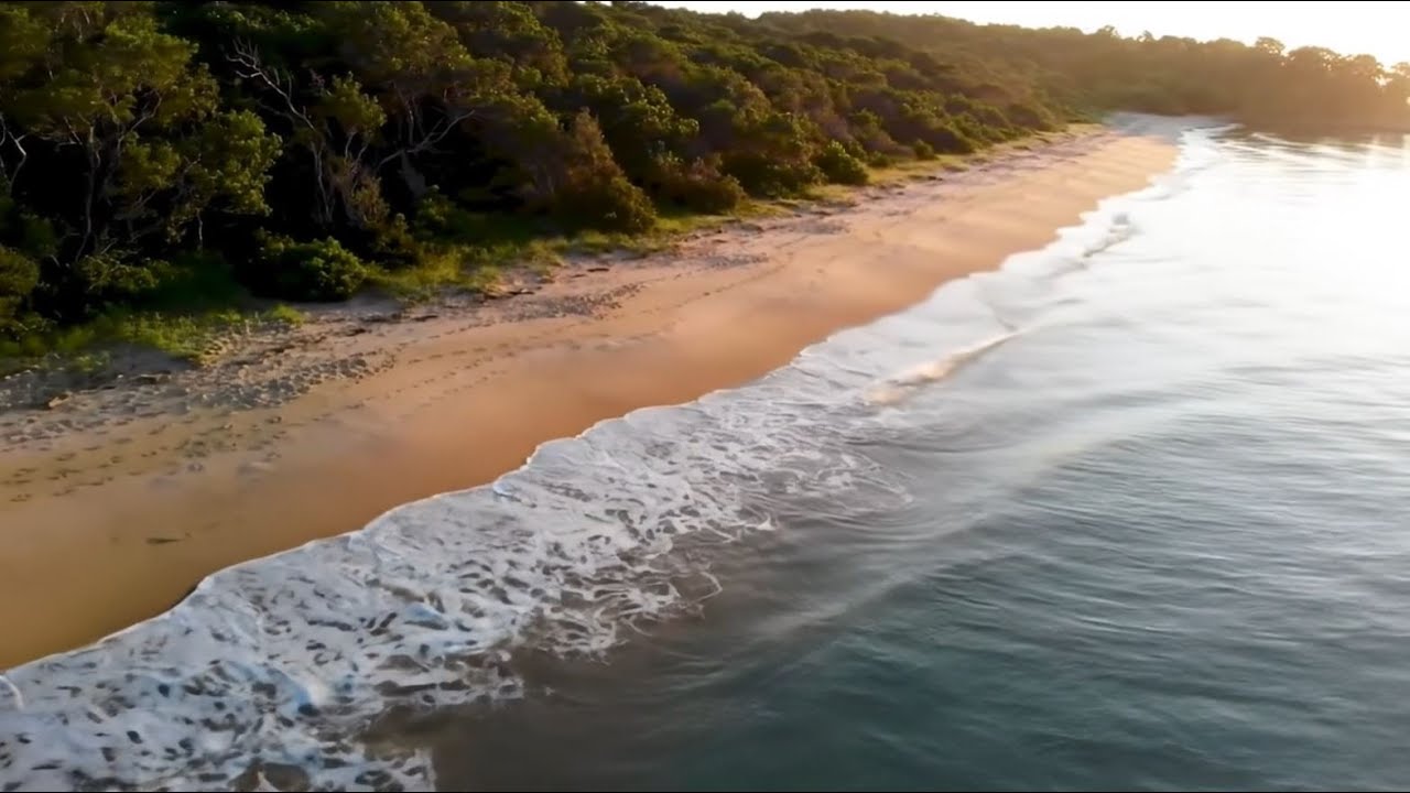 🌊 Mozart Tidal Calm | Soft Sea Pulse for Deep Relaxation