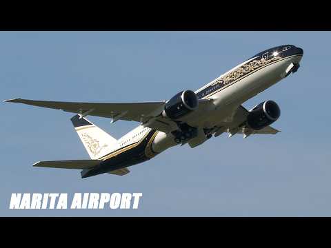 メチャカッコイイ♪ 赤道ギニア政府の政府専用機 P4-SKN 成田空港 2026.7.19