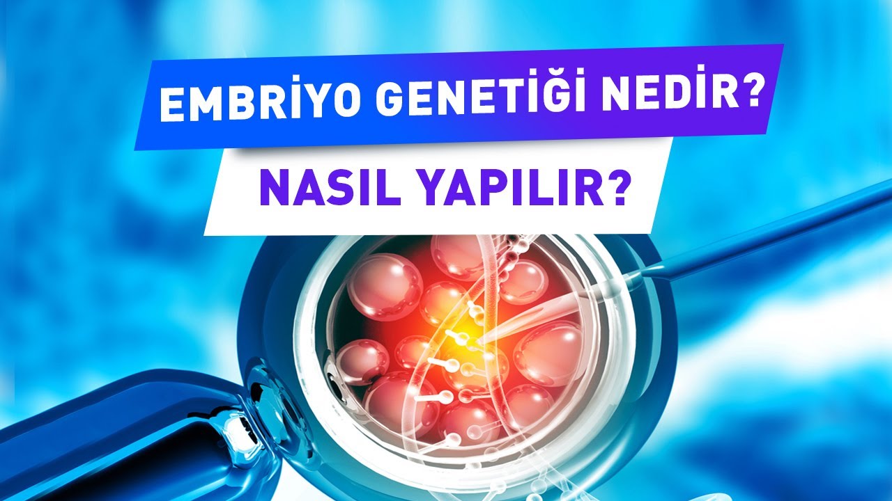 embriyo genetigi nedir kimlere yapilir prof dr gamze sinem caglar