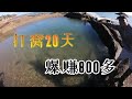 百米懸崖下的800平巨坑用豬血連續打窩二十天，爆賺800多，發財了