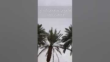 اسلام صبحي {وَاصْبِرْ نَفْسَكَ مَعَ الَّذِينَ يَدْعُونَ رَبَّهُم..}  سورة الكهف