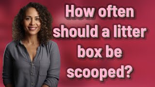 How often should a litter box be scooped?