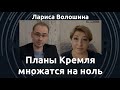 «Ялты-2 не получается». Лариса Волошина о Крымской платформе