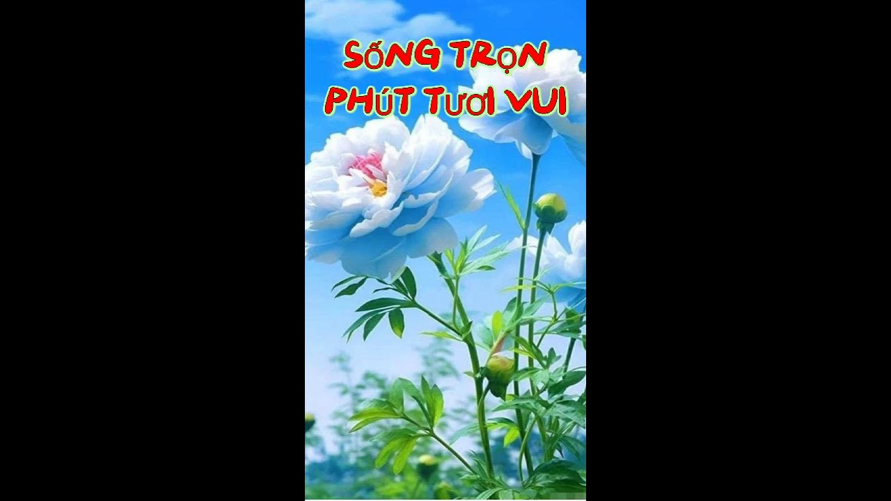 SỐNG TRỌN PHÚT TƯƠI VUI