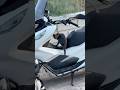 Reserved my scooter #cat #catlover #funny