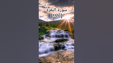 #sheikhmansouralsalimi #اكسبلور #دويتو #القرآن_الكريم #duet #تيك_توك #سورة_البقرة #حالات_واتس #ترند