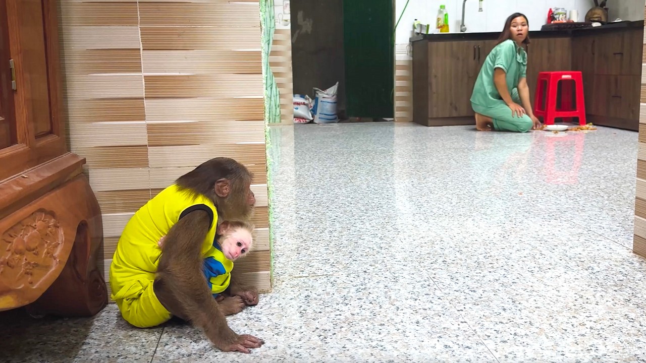 Busted! CUTIS’ Sneaky Cake Moment Makes Mom Laugh