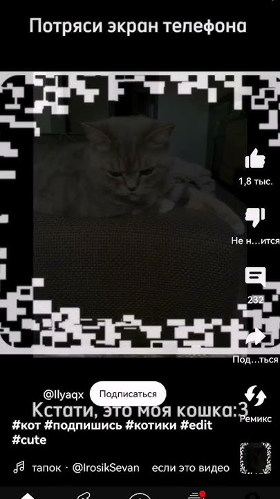 #кот #котик тутор? - YouTube