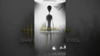 Were They Grays That Looked Like Reptilians, or Actual Reptilians?