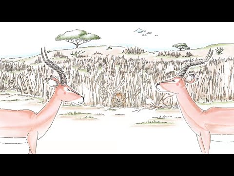 Impala - Impala