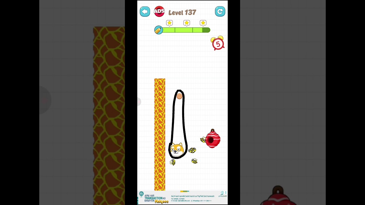 Save the Pets game Level 137  