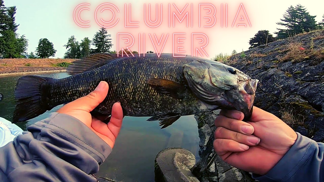 COLUMBIA RIVER SmallMouth Fishing