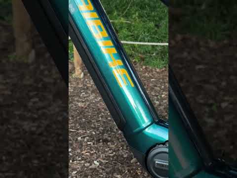 🚴‍♂️ Haibike AllMtn