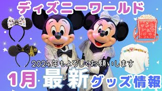 新品 日本未発売 海外限定品 WDW ホリデーイベント限定品 新品 日本未発売 海外限定品 WDW ホリデーイベント限定品