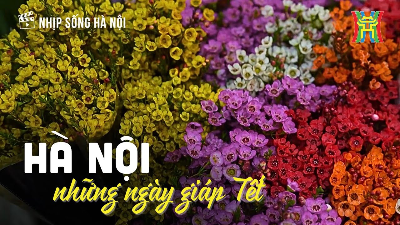 Hà Nội những ngày giáp Tết | Nhịp sống Hà Nội
