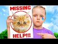 Cat Missing – Let’s Find the Kitty!