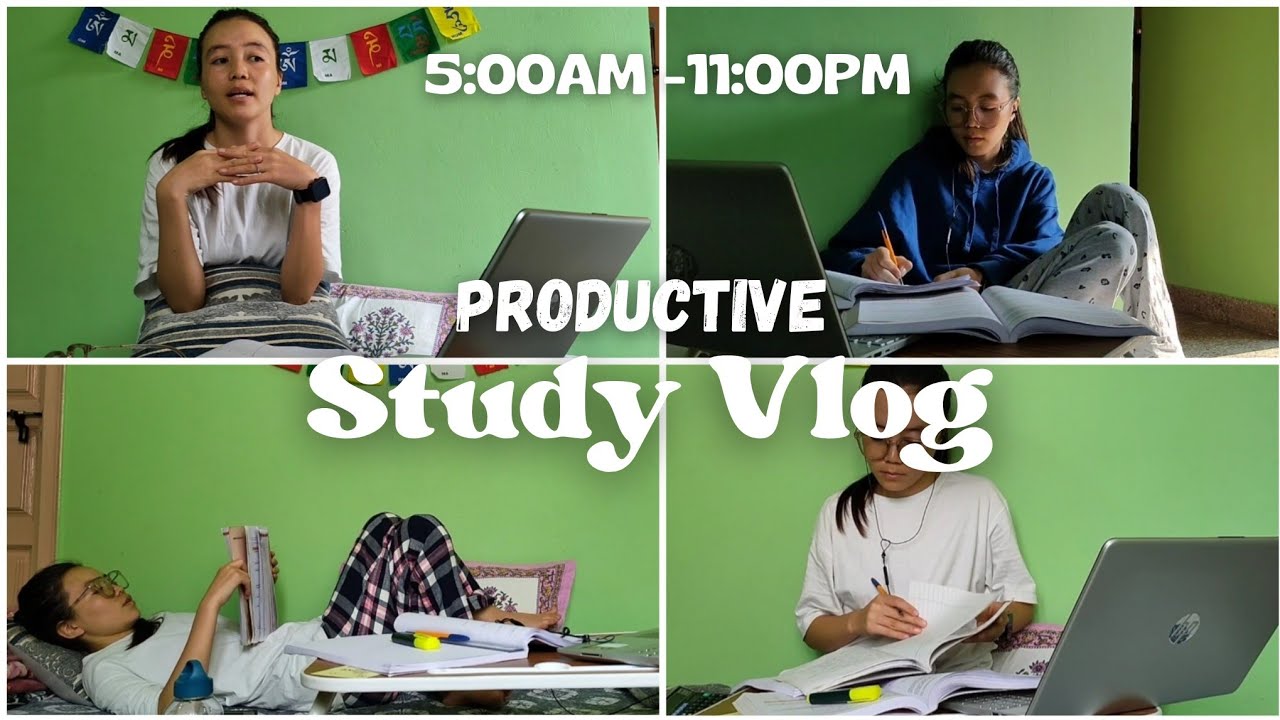 study vlog | a day in a life of CA aspirant | Padma Ladakh | Ladakhi ...
