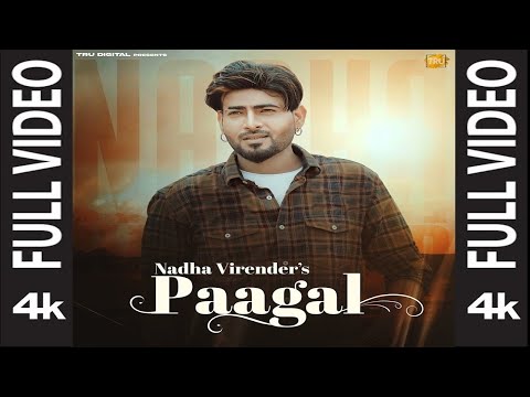 Paagal Nadha Virender New Punjabi Songs 2024 Latest Punjabi Song Paagal Kardega