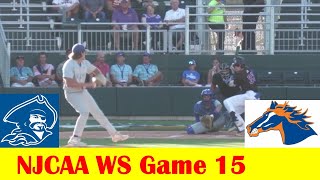 #6 Blinn vs #4 Georgia Highlands Baseball Highlights, 2024 NJCAA World Series Game 15