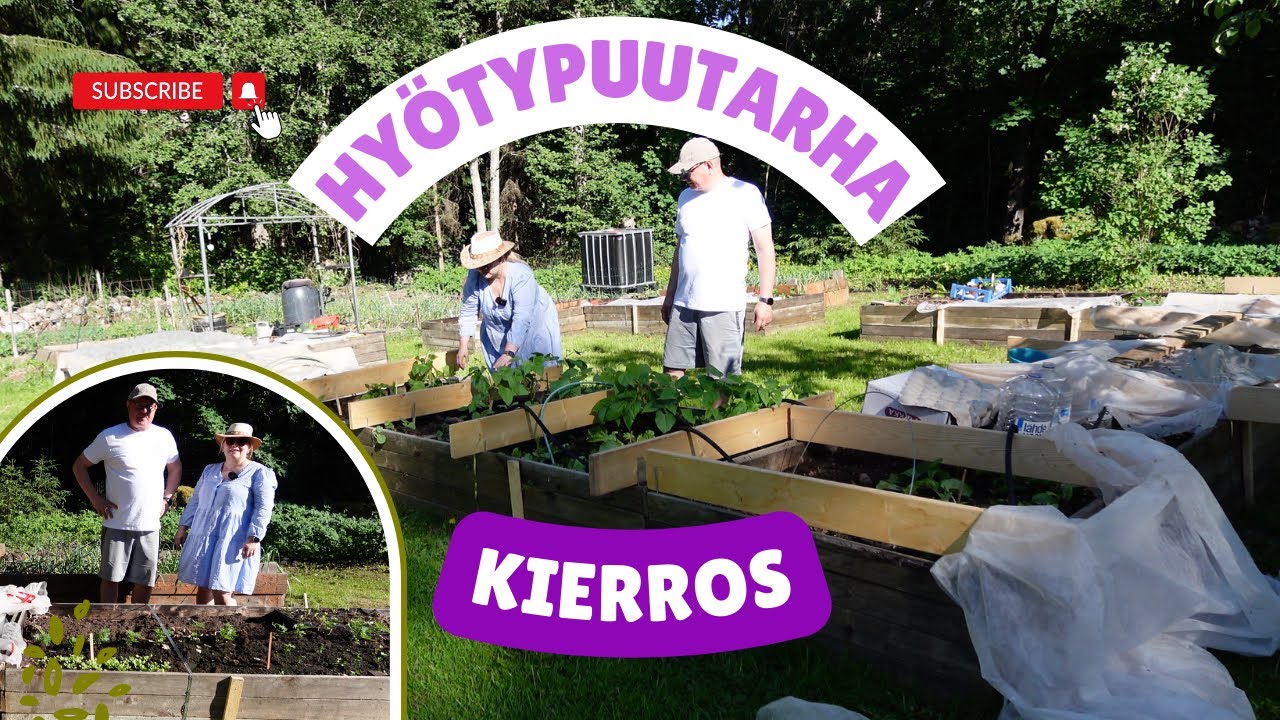 Puutarhakierros: Hyötypuutarha alkukesällä