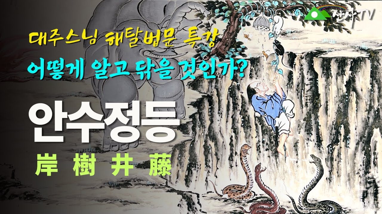 불교대학/대주스님/해탈법문 특강/안수정등/어떻게 알고 닦을 것인가?/불설비유경/ - YouTube