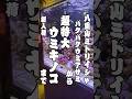 八重山ミドリイシやウミキノコ | アクアリウム 熱帯魚