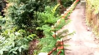 Air terjun Lae Mbilulu. Lae Mbilulu Water fall