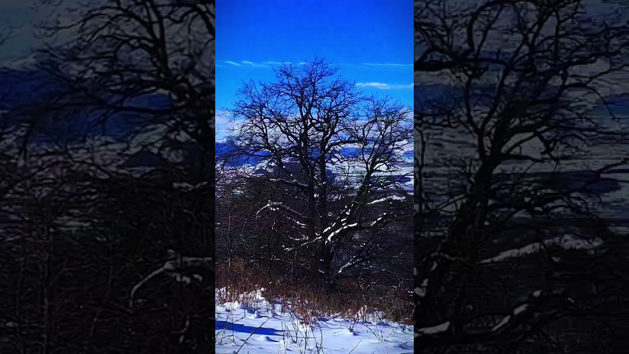 Լորուտի սարերը