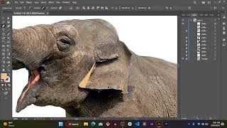 elephant design in adobe illustrator. how to trace elephant image in adobe illustrator. #imagetrace